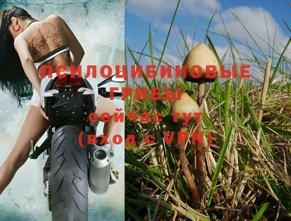 альфа пвп Володарск